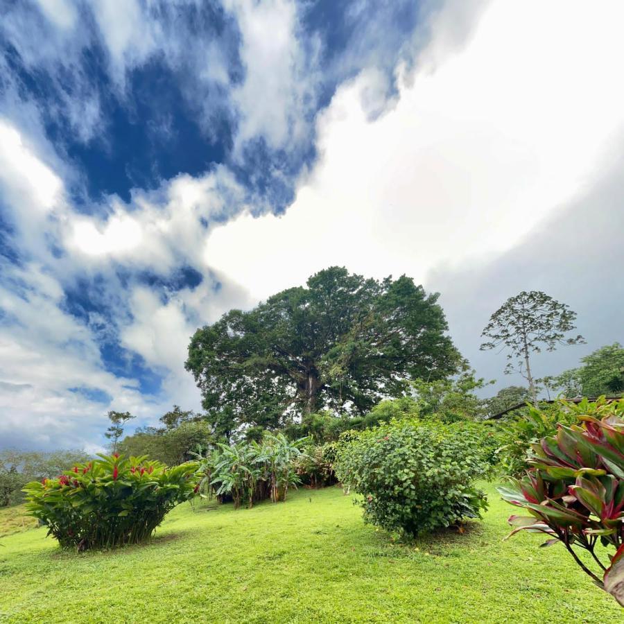 La Ceiba Tree Lodge Tilarán Exterior foto